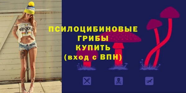 дживик Абаза