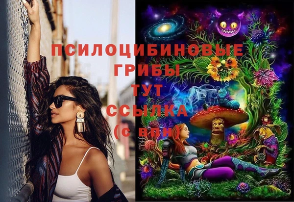 дурь Абдулино