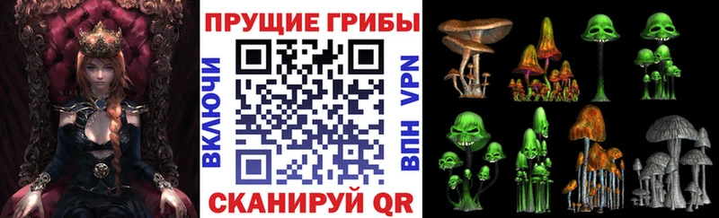 omg маркетплейс  Челябинск  Галлюциногенные грибы мухоморы  где найти наркотики 